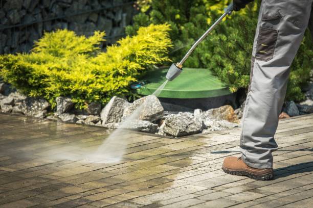 Best Fleet Vehicle Washing  in Choctaw Lake, OH