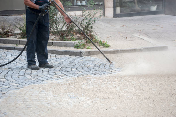 Best Animal Enclosure Cleaning  in Choctaw Lake, OH